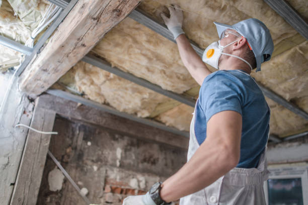 Best Insulation Installation Services in Cokato, MN